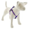 Lupine MicroBatch Step In Dog Harness 3/4" x 15"-21" Super Star - Poudre Pet & Feed Supply